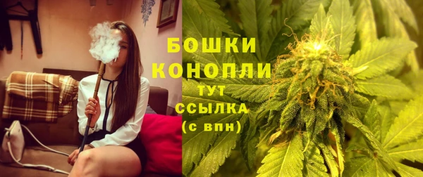 прущие крисы Беломорск