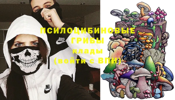 прущие крисы Беломорск